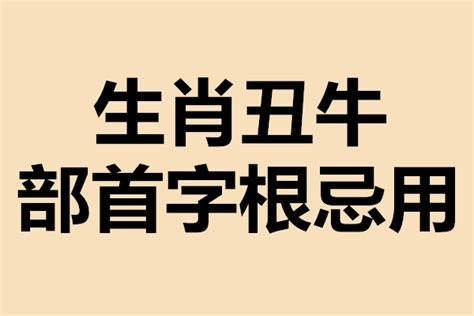 未字根|姓名学——十二生肖取名喜忌字根选择